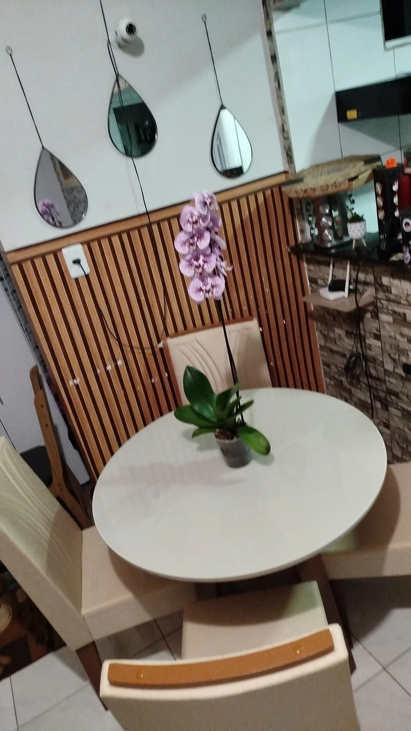 Mesa de Jantar 4 Cadeiras Redonda Naturalle e Off-White Tampo de Vidro Laís Móveis São Carlos - Imagem 8